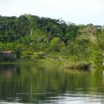 Visit the Brazilian Amazon with a 14-day itinerary, 2026 prices, safety tips, and essential Brazilian Portuguese phrases.